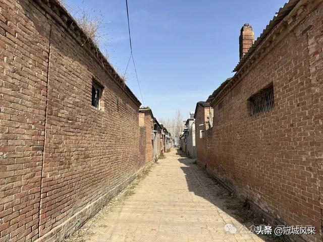 冠县乡韵·辛集镇饮马庄