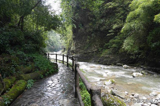 “渝黔生物基因库”黑山谷游记