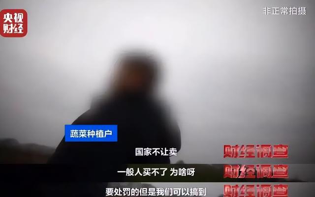 央视曝光“毒蔬菜”！0.08克便可致器官衰竭，已流窜到全国多地