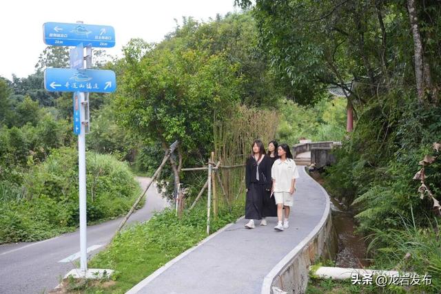龙岩森林公园3公里步栈道焕新升级