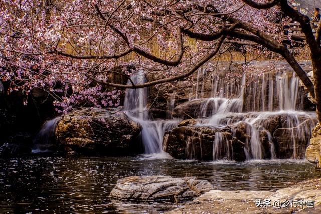 南部县寺外桃源景区：景村-乡镇-片区联动助力南西盐三县文旅发展