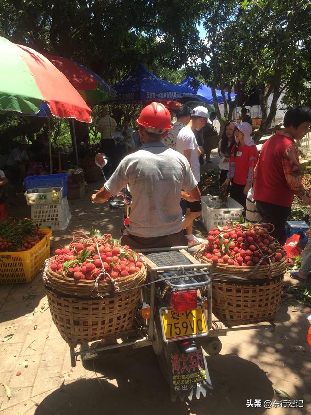 粤西三市：茂名县比市更有名，阳江和湛江谁是幸福城？