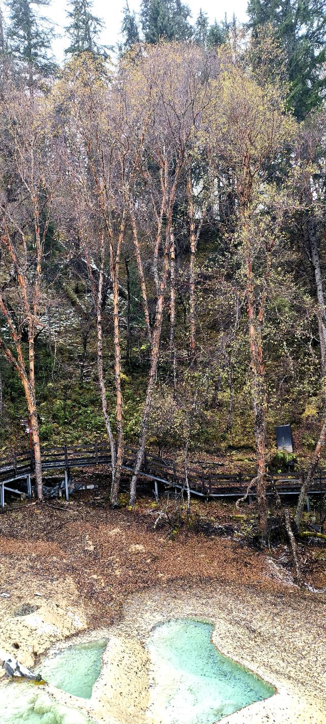 神仙池（一）竖幅