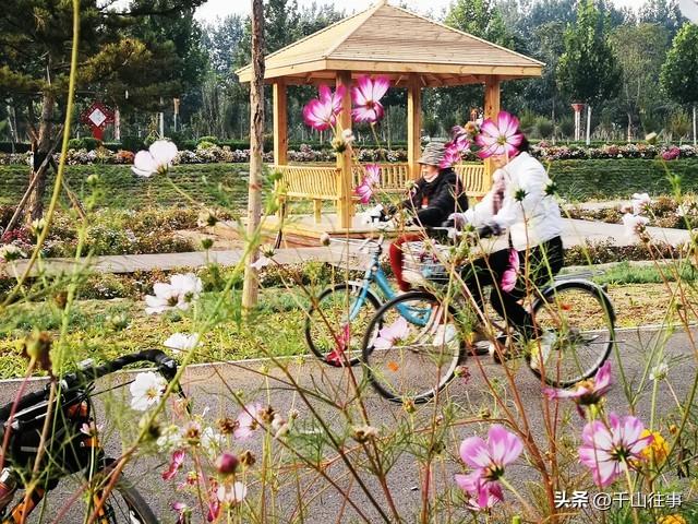 一个人骑车的早晨，才是成年人最顶级的放松方式，比躺平爽10倍！