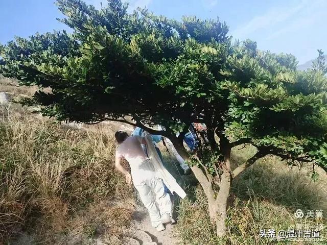 尽享无尽野趣！来浙里，开启一场跨越山与海的秘境徒步之旅！