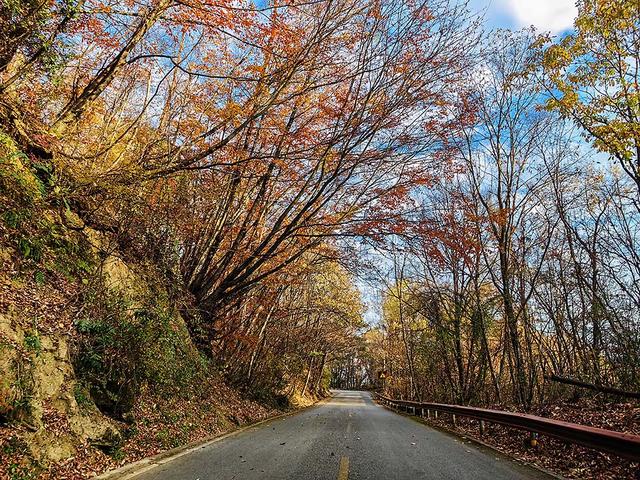 2024深秋四川行19 神农架风景区2 华中屋脊的五彩秘境
