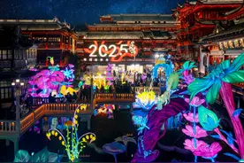 春节假日上海共接待游客1777.84万人次，同比增长6.08%图片