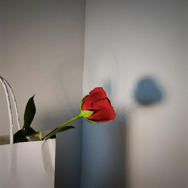 【再深的爱	，也怕“已读不回	”——那些被忽略的温柔与心碎】