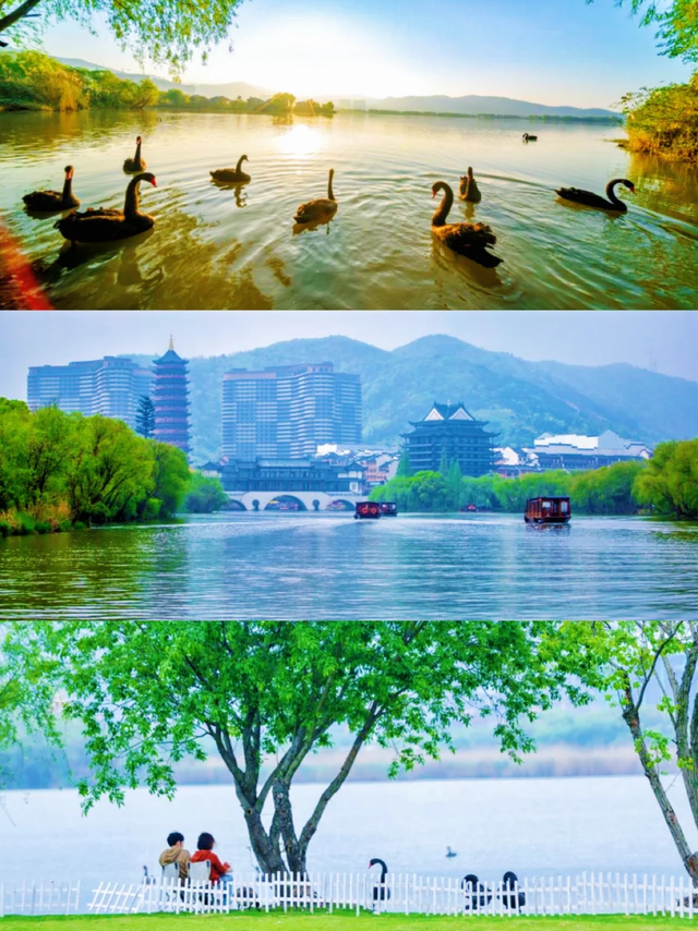 浙浙买单的旅行：你抢不到的浙BA城市争霸赛门票免费送！