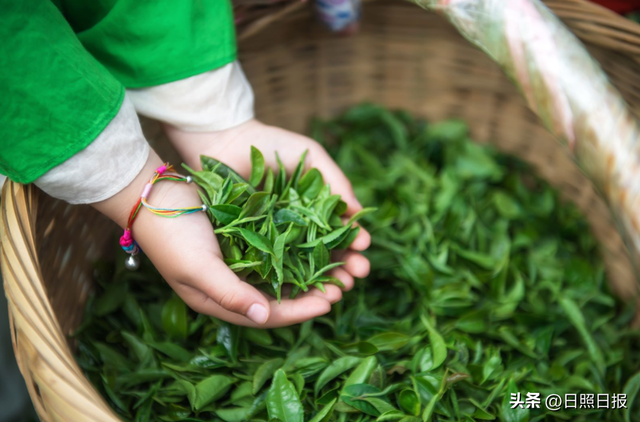 全球榜！中国榜！日照入选