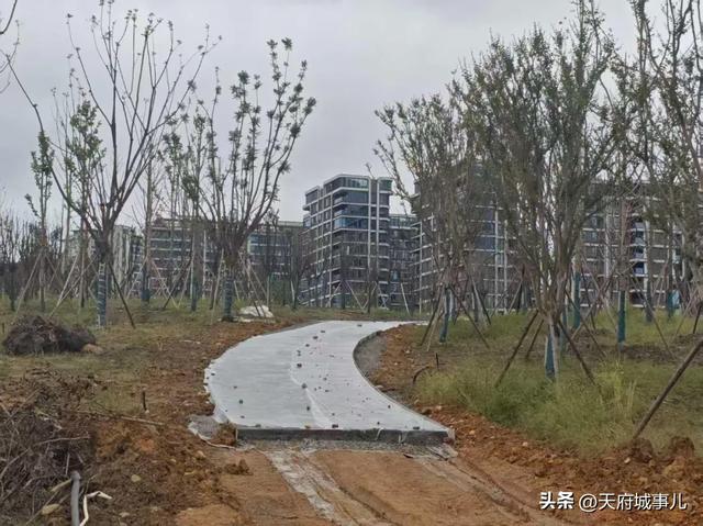 好期待！剑南大道边上这座千亩大公园即将建成开放！