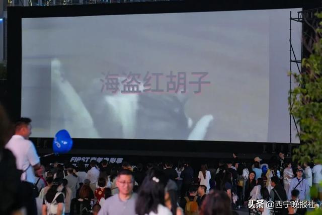西宁的凉爽和美食让人印象深刻