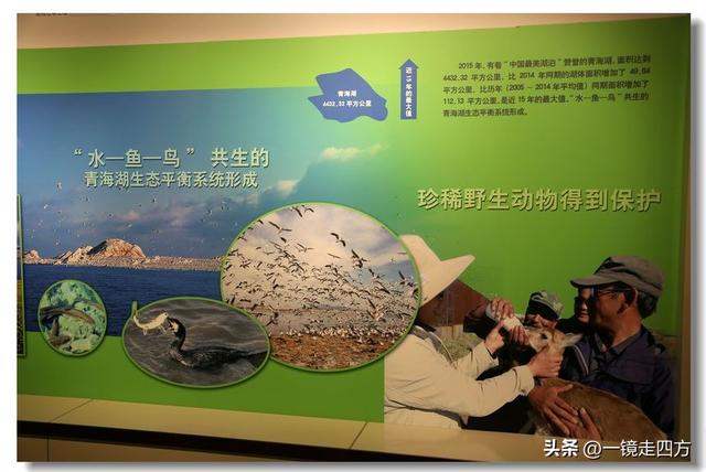 青海省博物馆里的“大美青海”成就展