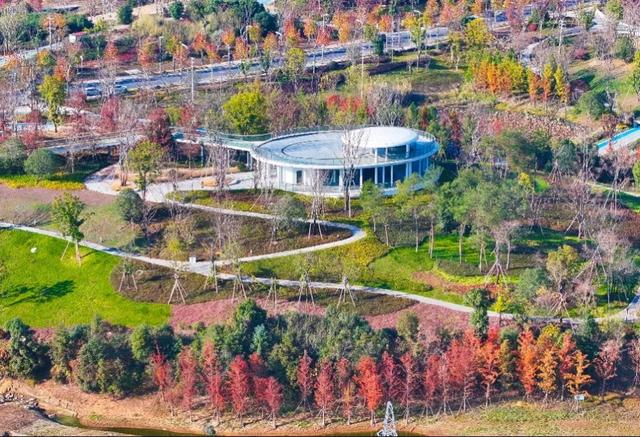 冬日金东：斑斓未尽 山水半酣