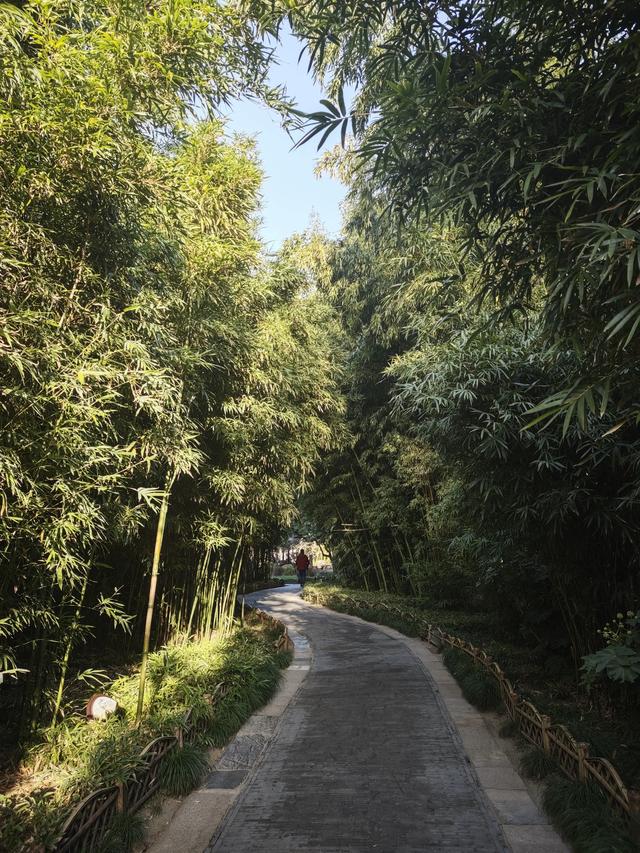 江苏扬州镇江南京五日游