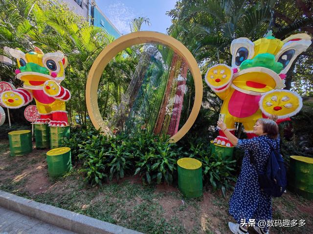 广州66届羊城菊花展，快来看打卡攻略