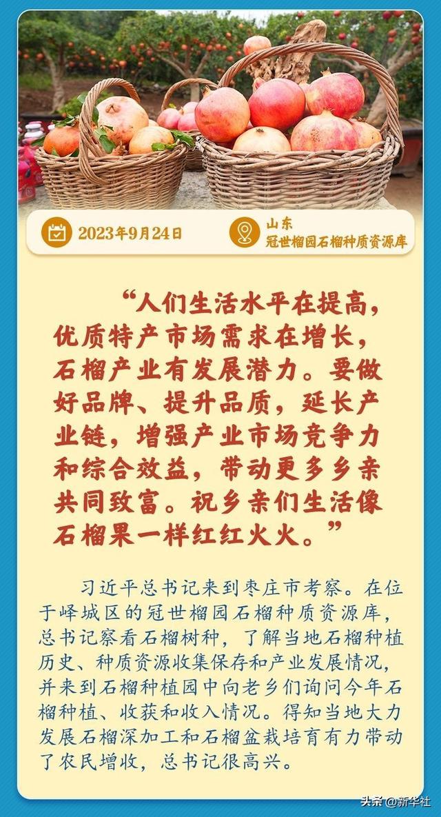 学习新语｜总书记引领推动乡村振兴迈出坚实步伐