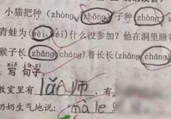 小学生爆笑试卷：反义词“赶紧--赶松”哈哈哈！