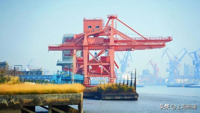 来复兴岛当一天快乐“岛民”