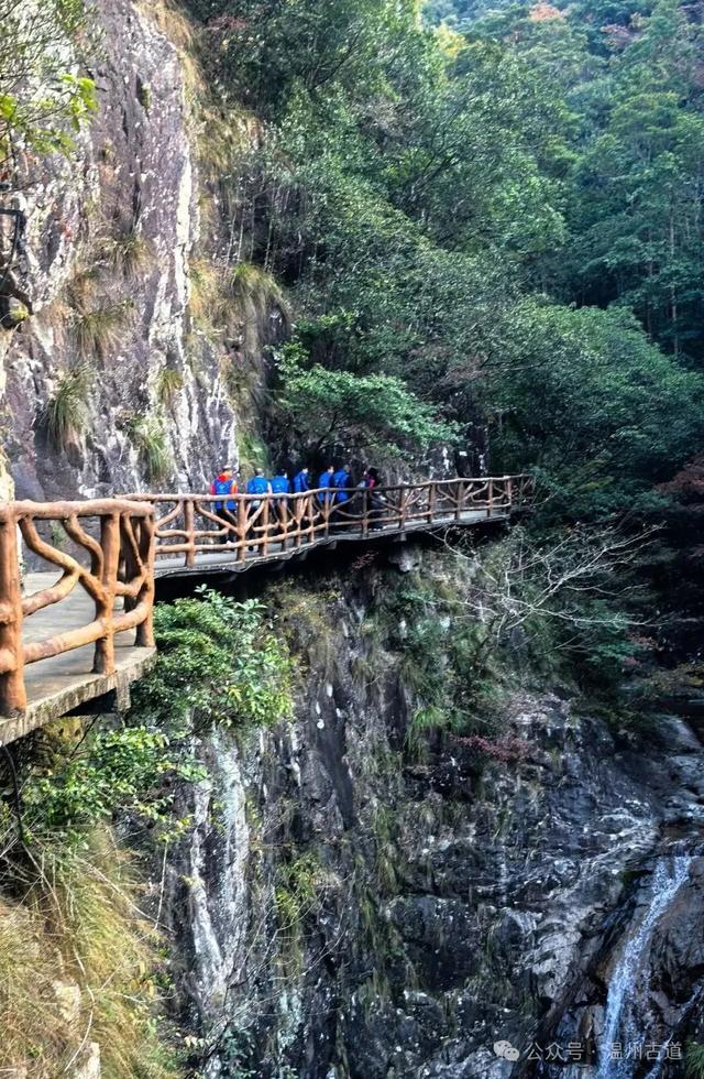 温州这个国家森林公园藏着深秋醉美的秋色,你可去过?