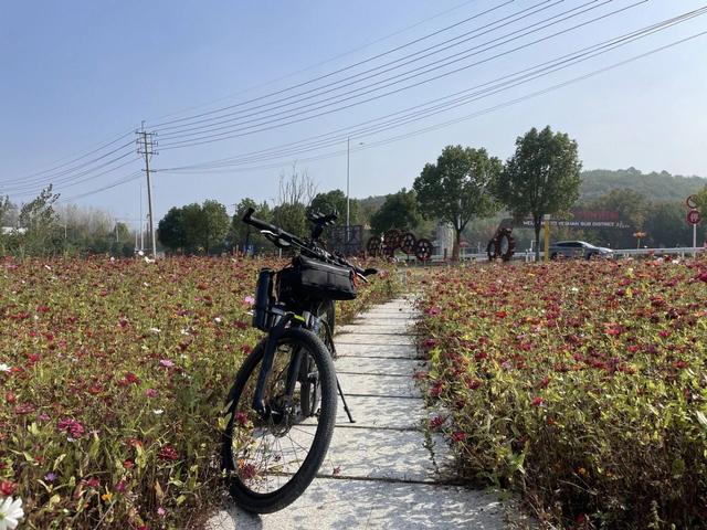 随性骑游六合随拍小景