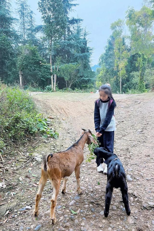 “我”的秋假时光 | 见山见水见世界 ③