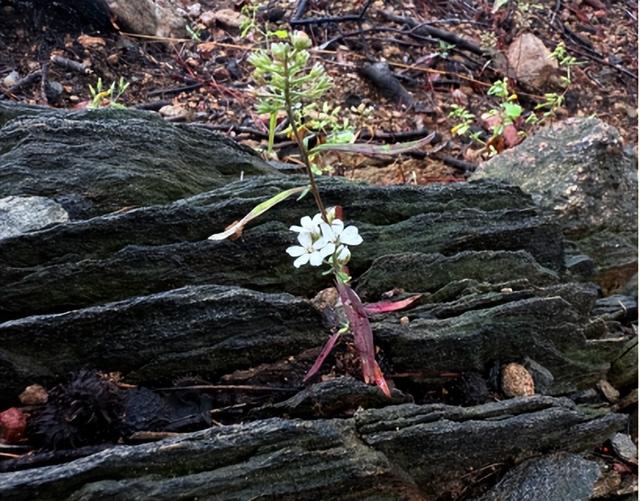 驴行信记：再攀“磨山顶”