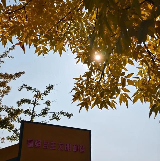 七里河畔晨光好 文明城市气象新