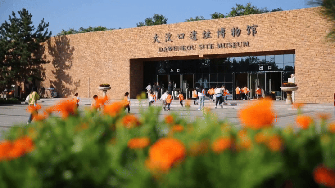 全省60家！岱岳区大汶口国家考古遗址公园入选