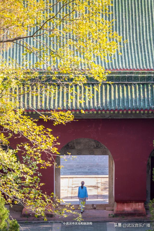 武汉这条登山花路爆火出圈