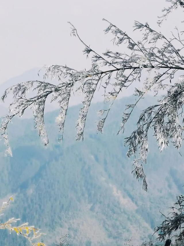 美如仙境！韶关这个地方迎来今年首场冰挂雾凇景观，秋冬来旅行，赏雪泡泉看红枫为你安排好了