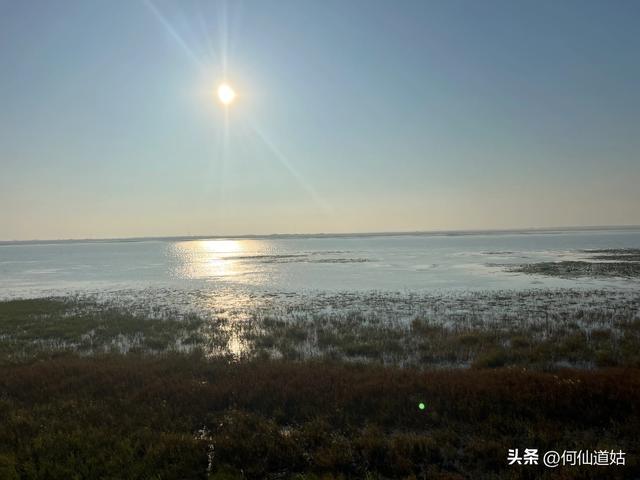 吴城狮子山观鸟