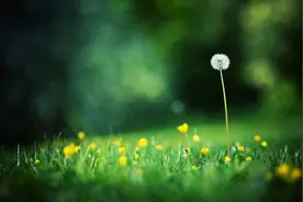 “妻子旺夫，必有征兆”：一看就很旺夫的女人，大都有这几个特质图片