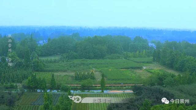 最快30分钟!河滩玩水、捉鱼虾、划竹筏…没有门票!