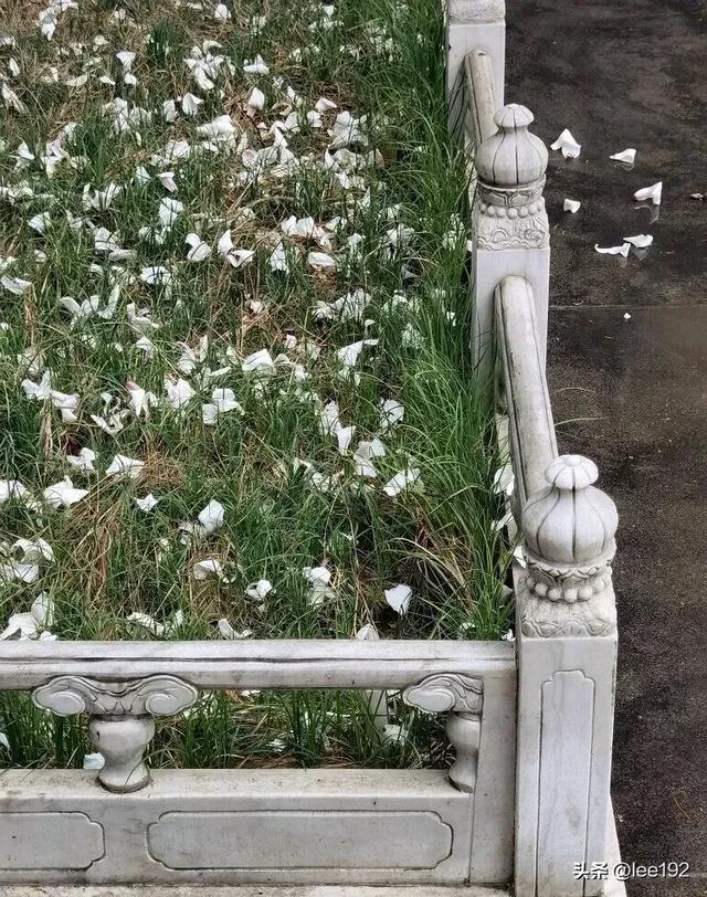 细赏王府系列之—雨中协和（49）《13》