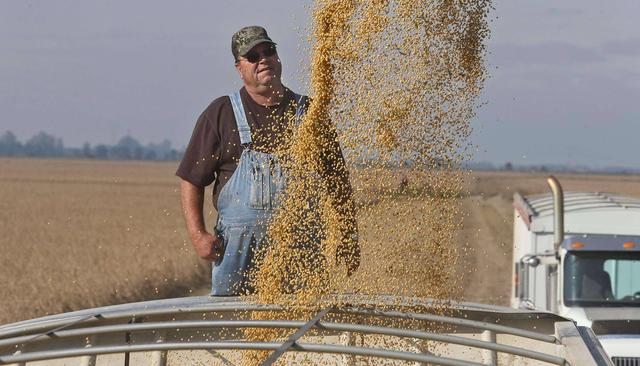 美豆农迎来机会，中方终于采购美豆，黄仁勋直言：损失比中国更大