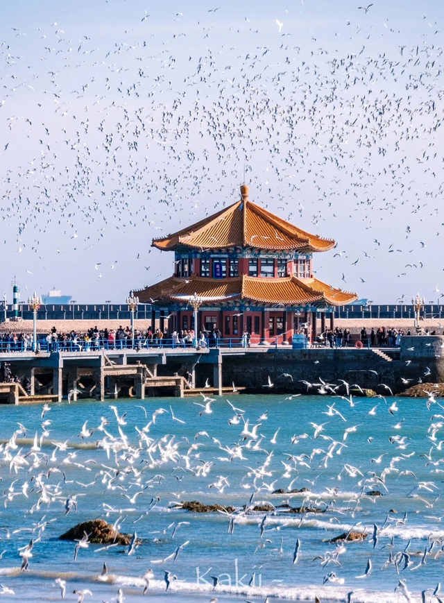 冬日畅游齐鲁，相约乐GO山东！