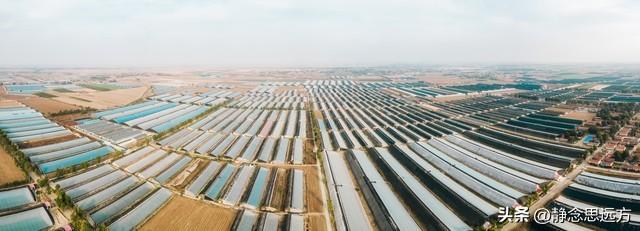 河南人去了潍坊和日照，直言不讳：潍坊人和日照人气质截然不同！