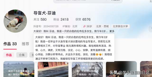 带导盲犬爬山后续：女主渴望被理解，坦言自己没错，澄清不是夫妻