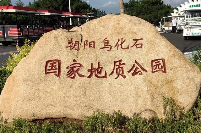 辽宁朝阳行 飞在化石上的鸟 开在化石上的花