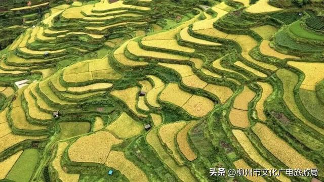 自驾秋游柳州，不止有螺蛳粉，更有三江侗寨间的万千风物