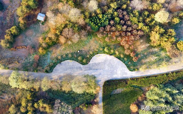 山西襄汾：城市公园 冬景如画