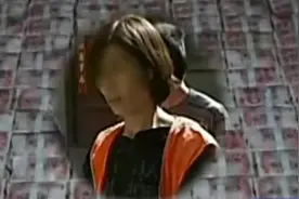 11年河南农民夫妻整日家里躺，每天睡8000万现金上，惊动警察登门图片