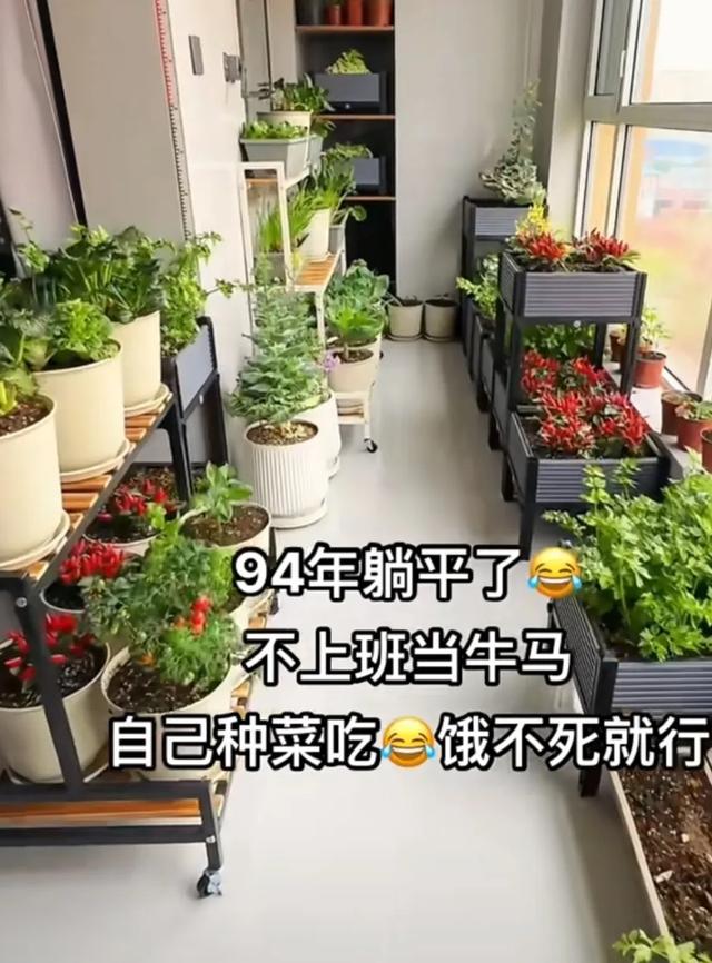 山东女子用200个矿泉水瓶在封闭阳台实现了蔬菜自由，网友:太牛了