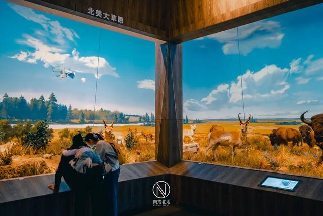 好玩到爆！生态城十一假期游玩全攻略