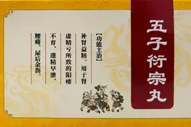 阳虚脾胃虚痰湿重，五子衍宗丸巧搭配，滋阴补肾健脾化痰！图片