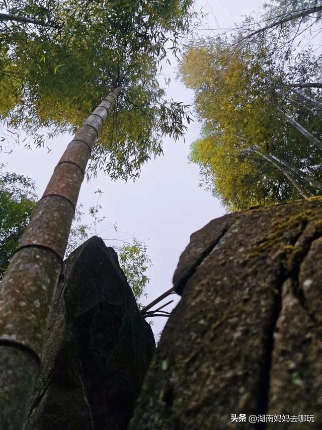 1.5h直达!藏在山野里的捡秋秘境,瀑布+挖宝双buff拉满!