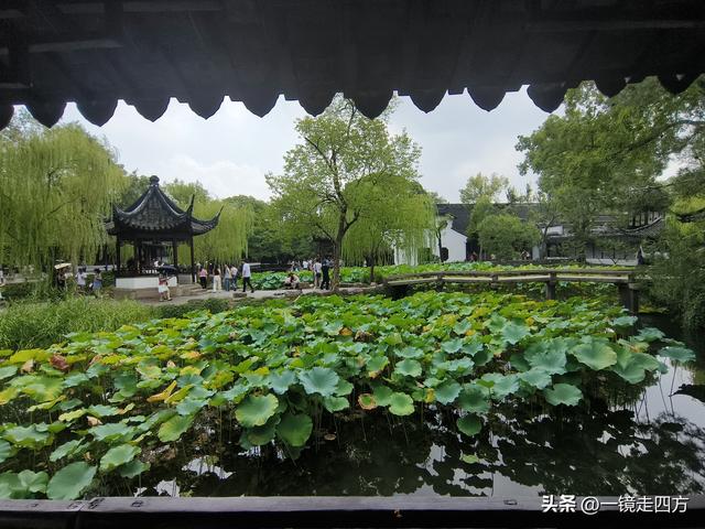 临近国庆，在还很闷热的天气里，游览市内现存最大的园林拙政园