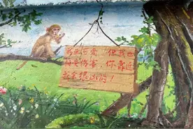 女孩在深圳一景区与猴子合照，被拽住胳膊狠咬图片