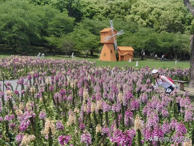 太意外了，原来从旺山风景区到上方山国家森林公园是如此的近
